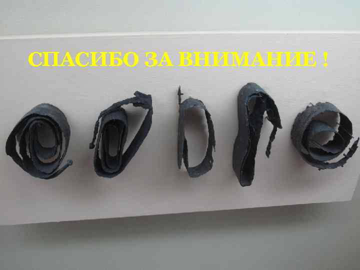 СПАСИБО ЗА ВНИМАНИЕ ! 