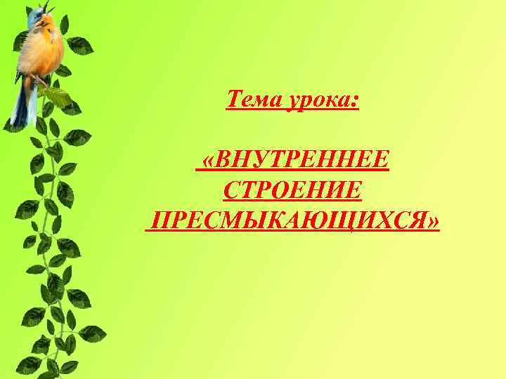 Тема урока: «ВНУТРЕННЕЕ СТРОЕНИЕ ПРЕСМЫКАЮЩИХСЯ» 