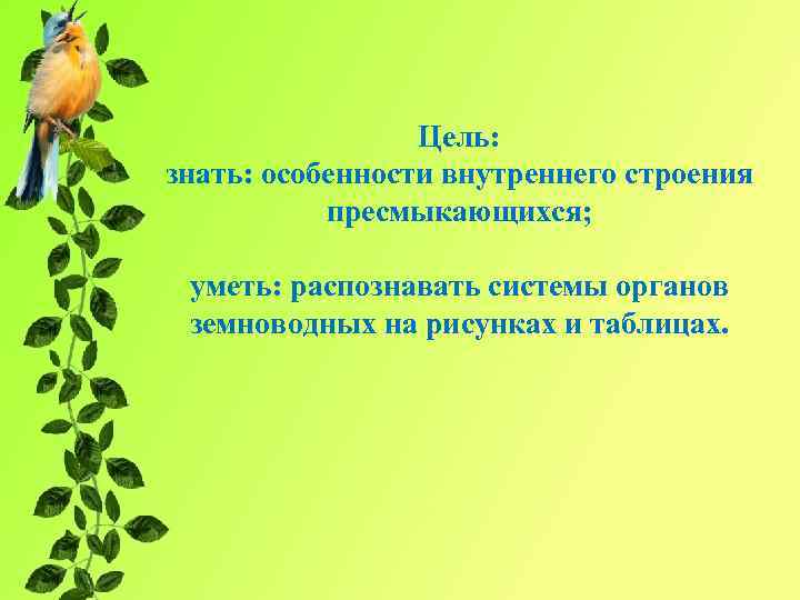 Цель: знать: особенности внутреннего строения пресмыкающихся; уметь: распознавать системы органов земноводных на рисунках и