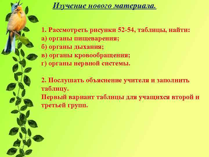 Изучение нового материала. 1. Рассмотреть рисунки 52 -54, таблицы, найти: а) органы пищеварения; б)