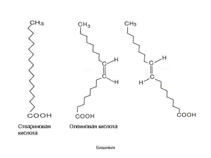Напишите схемы образования триглицеридов стеариновой кислоты пальмитиновой кислоты олеиновой кислоты