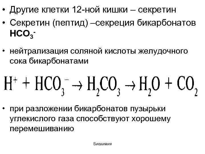  • Другие клетки 12 -ной кишки – секретин • Секретин (пептид) –секреция бикарбонатов