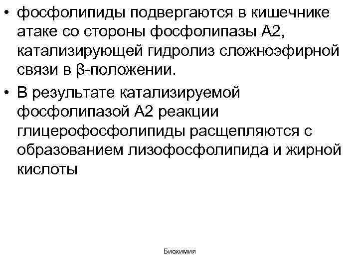  • фосфолипиды подвергаются в кишечнике атаке со стороны фосфолипазы А 2, катализирующей гидролиз