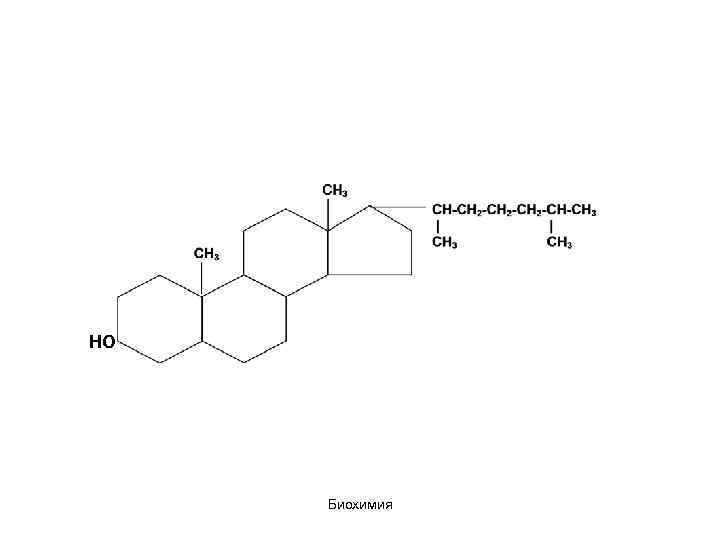 НО Биохимия 