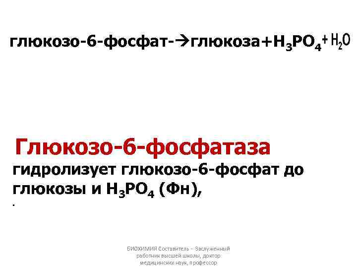 глюкозо-6 -фосфат- глюкоза+Н 3 РО 4 Глюкозо-6 -фосфатаза гидролизует глюкозо-6 -фосфат до глюкозы и