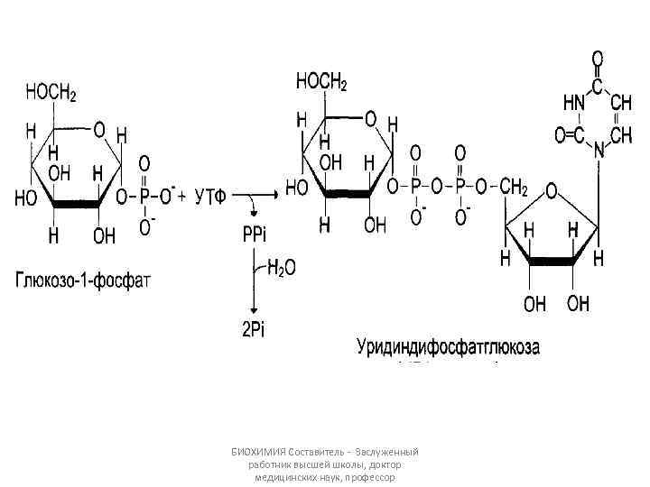 БИОХИМИЯ Составитель - Заслуженный работник высшей школы, доктор медицинских наук, профессор 