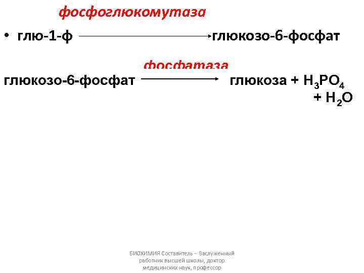 фосфоглюкомутаза • глю-1 -ф глюкозо-6 -фосфатаза глюкоза + Н 3 РО 4 + Н