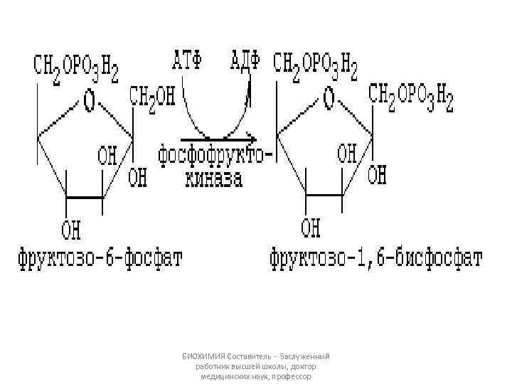 БИОХИМИЯ Составитель - Заслуженный работник высшей школы, доктор медицинских наук, профессор 