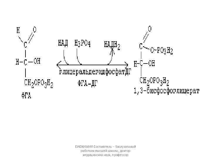 БИОХИМИЯ Составитель - Заслуженный работник высшей школы, доктор медицинских наук, профессор 