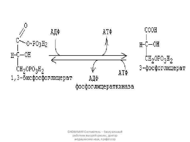 БИОХИМИЯ Составитель - Заслуженный работник высшей школы, доктор медицинских наук, профессор 