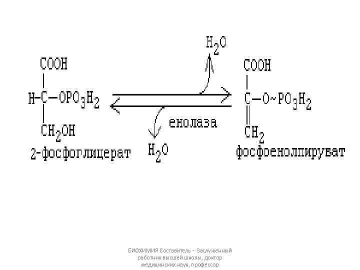 БИОХИМИЯ Составитель - Заслуженный работник высшей школы, доктор медицинских наук, профессор 