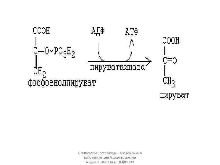 БИОХИМИЯ Составитель - Заслуженный работник высшей школы, доктор медицинских наук, профессор 
