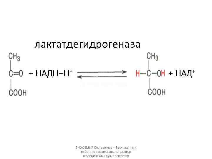 Пвк в биологии. Молочная кислота + над пировиноградная кислота +НАДН Н. Пируват надн2. Пируват надн2 фермент. Пировиноградная кислота НАДН.
