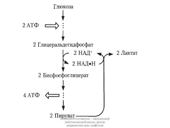 БИОХИМИЯ Составитель - Заслуженный работник высшей школы, доктор медицинских наук, профессор 