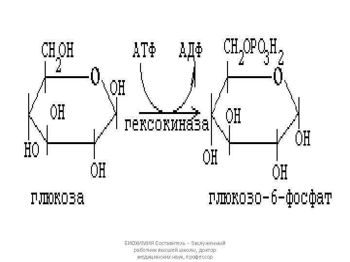 БИОХИМИЯ Составитель - Заслуженный работник высшей школы, доктор медицинских наук, профессор 