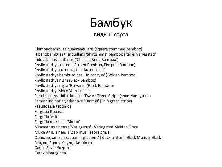 Бамбук виды и сорта Chimonobambusa quadrangularis (square stemmed bamboo) Hibanobambusa tranquillans ‘Shiroshima’ bamboo (