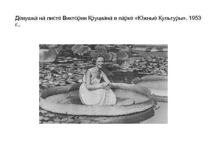 Девушка на листе Виктории Круциана в парке «Южные Культуры» . 1953 г. . 