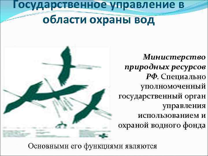 Государственное управление в области охраны вод Министерство природных ресурсов РФ. Специально уполномоченный государственный орган