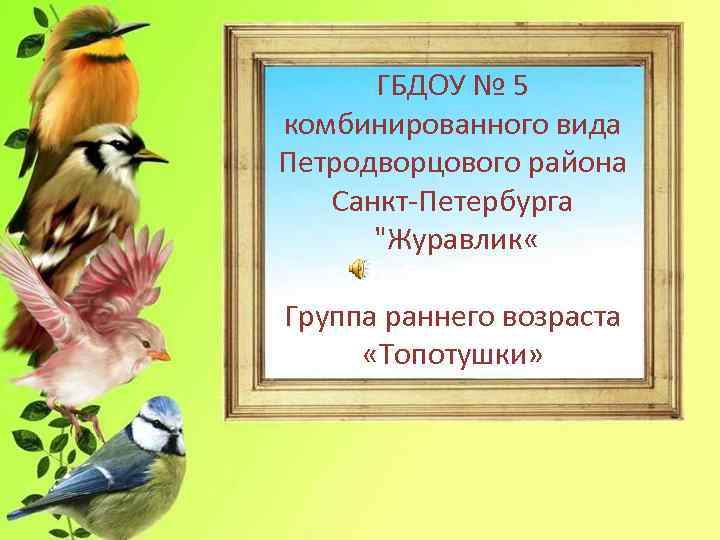 ГБДОУ № 5 комбинированного вида Петродворцового района Санкт-Петербурга "Журавлик « Группа раннего возраста «Топотушки»