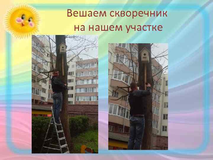 Вешаем скворечник на нашем участке 