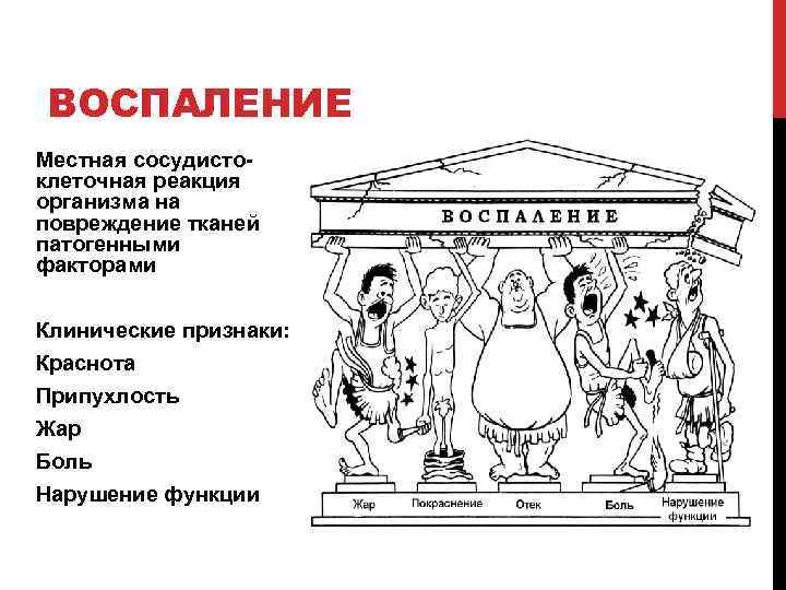 ВОСПАЛЕНИЕ Местная сосудистоклеточная реакция организма на повреждение тканей патогенными факторами Клинические признаки: Краснота Припухлость