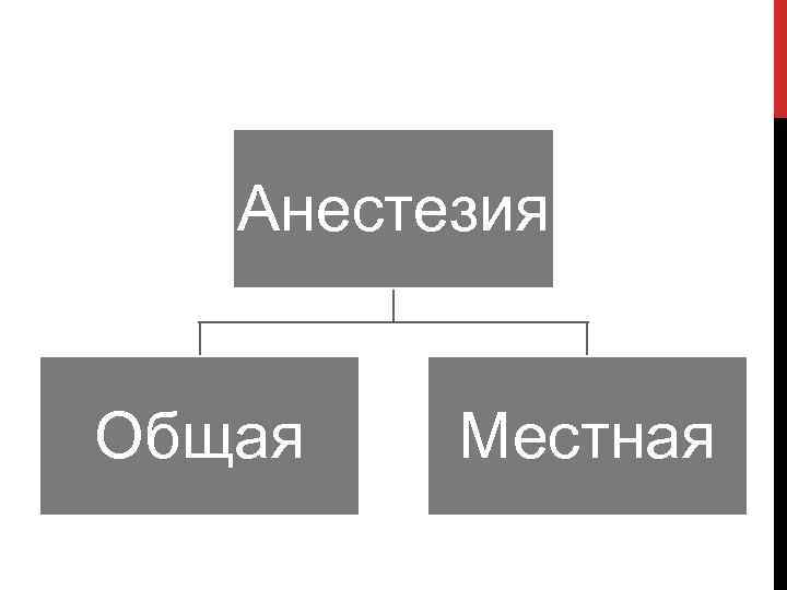 Анестезия Общая Местная 