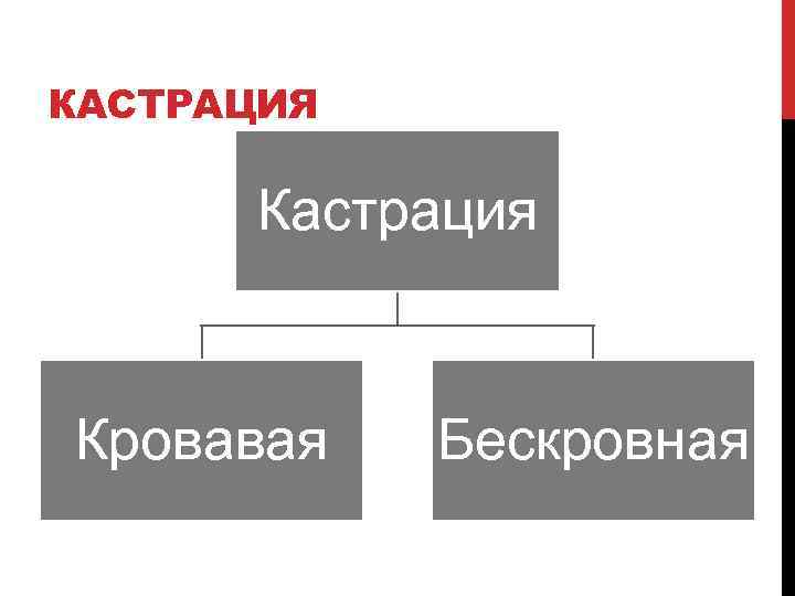 КАСТРАЦИЯ Кастрация Кровавая Бескровная 