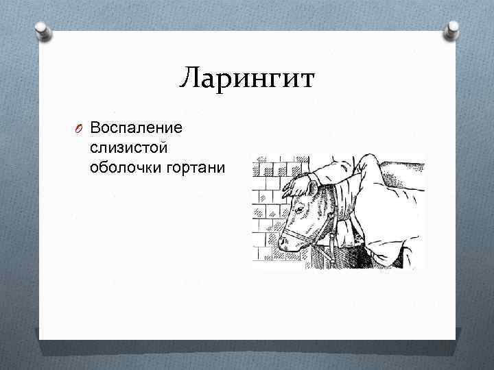 Ларингит O Воспаление слизистой оболочки гортани 