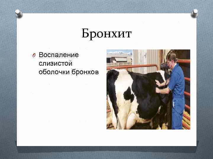 Бронхит O Воспаление слизистой оболочки бронхов 