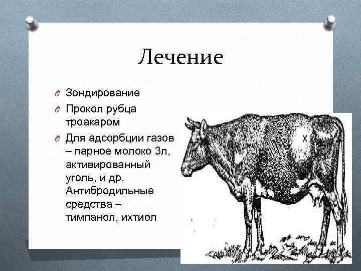 Лечение O Зондирование O Прокол рубца троакаром O Для адсорбции газов – парное молоко