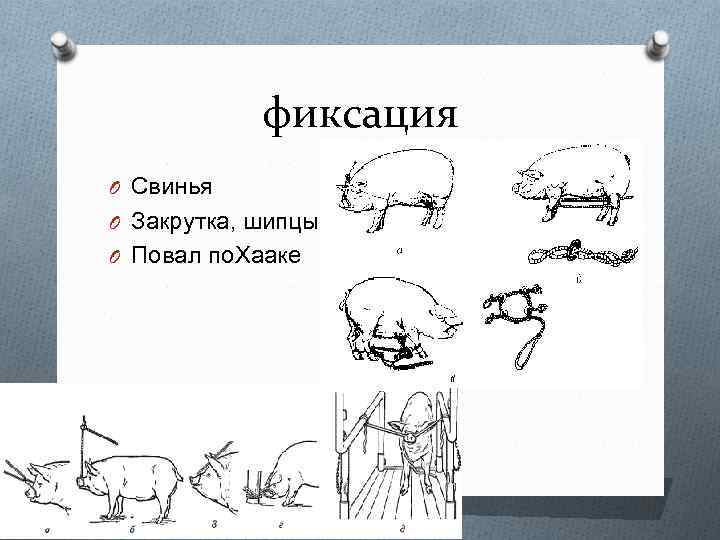 фиксация O Свинья O Закрутка, шипцы O Повал по. Хааке 