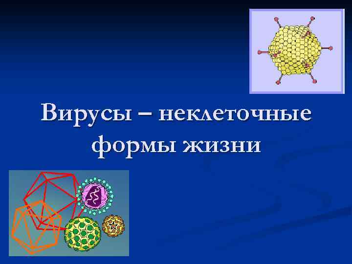 Вирусы – неклеточные формы жизни 