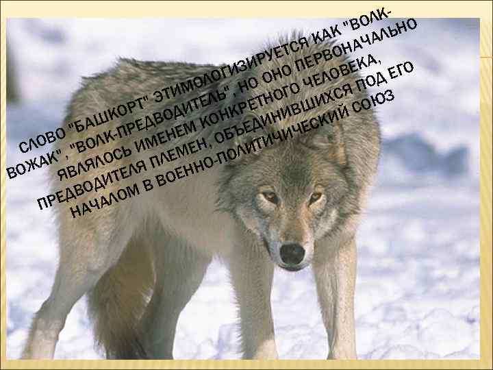 ОЛК НО К "В АЛЬ А Я К НАЧ С УЕТ ЕРВО А, ЗИР