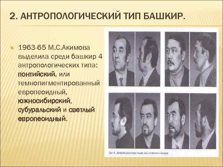 2. АНТРОПОЛОГИЧЕСКИЙ ТИП БАШКИР. 1963 -65 М. С. Акимова выделила среди башкир 4 антропологических