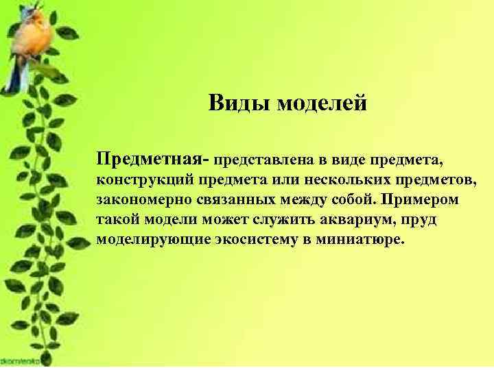 Виды моделей Предметная- представлена в виде предмета, конструкций предмета или нескольких предметов, закономерно связанных