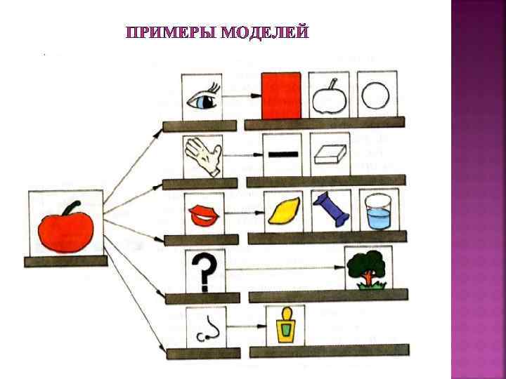 ПРИМЕРЫ МОДЕЛЕЙ 