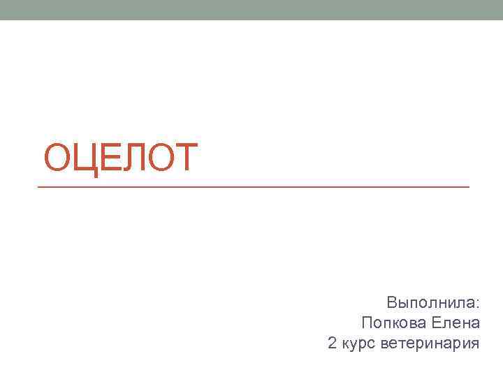 ОЦЕЛОТ Выполнила: Попкова Елена 2 курс ветеринария 