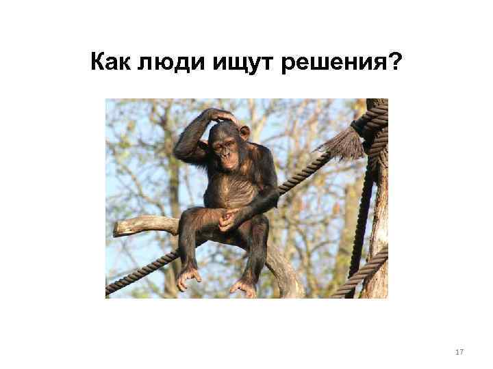 Как люди ищут решения? 17 