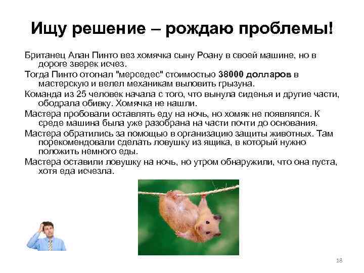 Ищу решение – рождаю проблемы! Британец Алан Пинто вез хомячка сыну Роану в своей