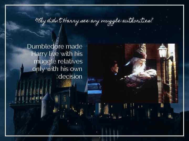 Why didn’t Harry see any muggle authorities? Dumbledore made Harry live with his muggle