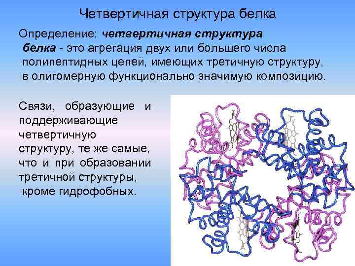 Четвертичная структура белка Определение: четвертичная структура белка - это агрегация двух или большего числа