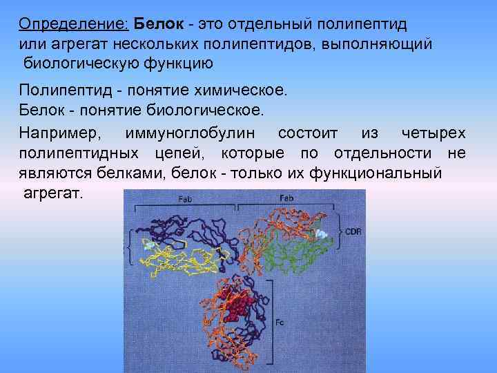 Определение: Белок - это отдельный полипептид или агрегат нескольких полипептидов, выполняющий биологическую функцию Полипептид