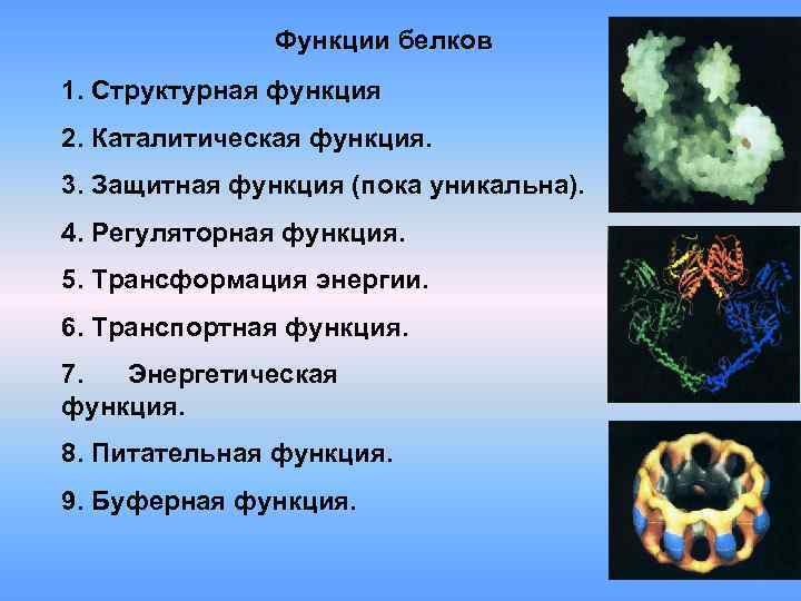 Функции белков 1. Структурная функция 2. Каталитическая функция. 3. Защитная функция (пока уникальна). 4.