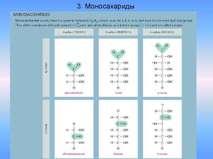 3. Моносахариды 