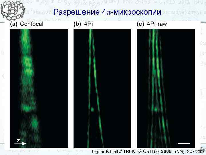 Разрешение 4 -микроскопии Egner & Hell // TRENDS Cell Biol 2005, 15(4), 207 -215