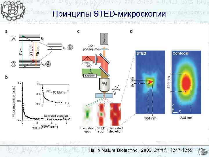 Принципы STED-микроскопии Hell // Nature Biotechnol. 2003, 21(11), 1347 -1355 