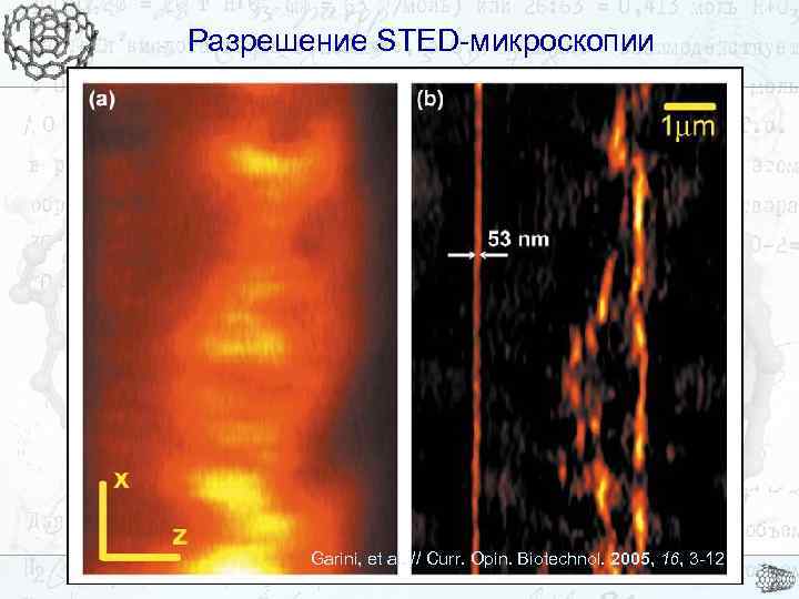 Разрешение STED-микроскопии Garini, et al. // Curr. Opin. Biotechnol. 2005, 16, 3 -12 