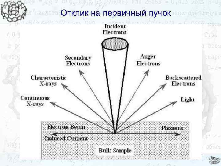 Отклик на первичный пучок 