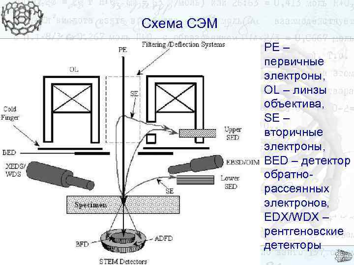 Схема СЭМ PE – первичные электроны, OL – линзы объектива, SE – вторичные электроны,