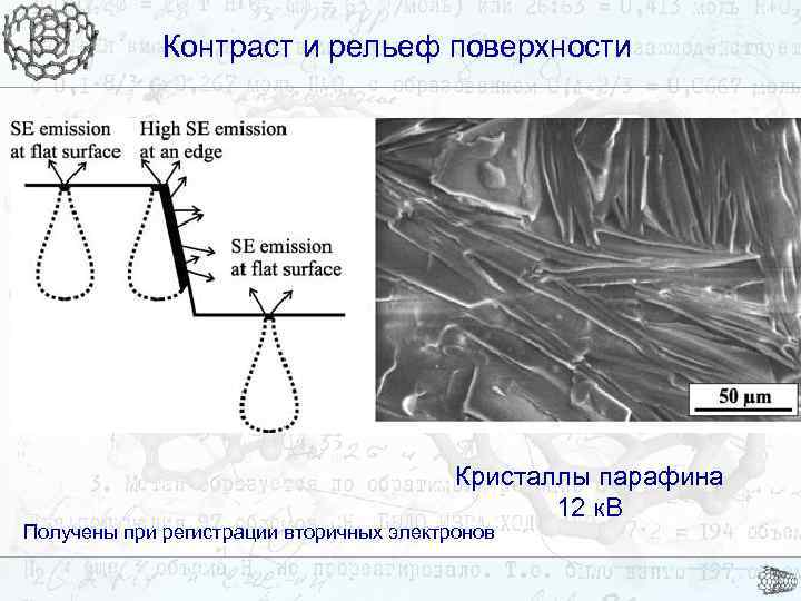 Контраст и рельеф поверхности Кристаллы парафина 12 к. В Получены при регистрации вторичных электронов